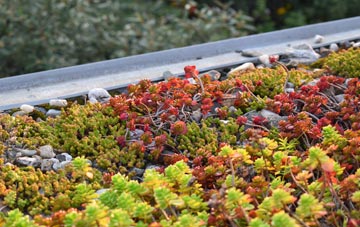 the cost of Westside green roof installation