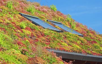 Westside living roof systems